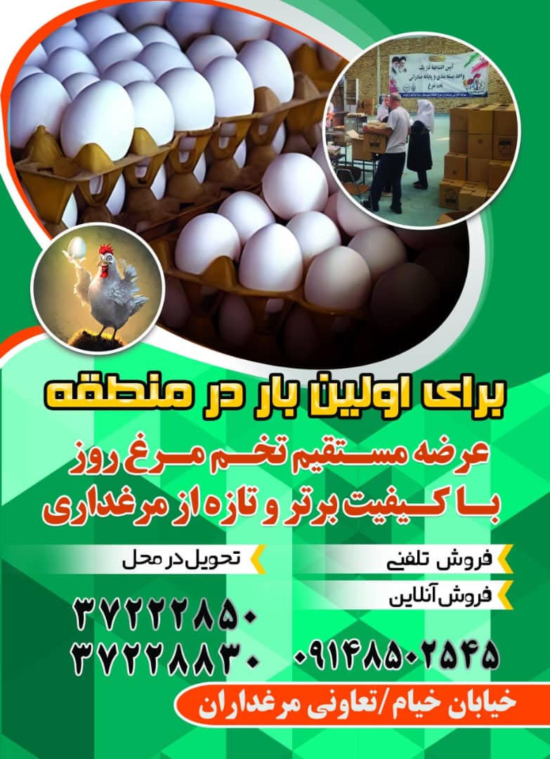 شرکت تعاونی مرغداران مراغه