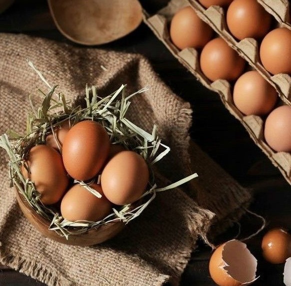 شرکت تعاونی مرغداران مراغه