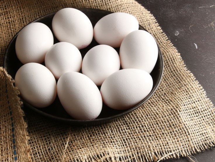 شرکت تعاونی مرغداران مراغه